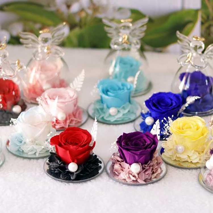 Αγγελικό Αιώνιο Τριαντάφυλλο