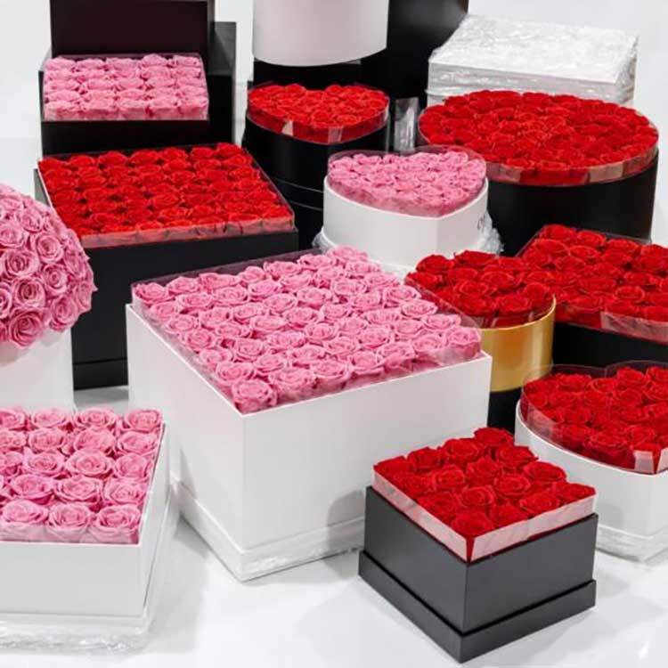 Κουβάς με λουλούδια αγκαλιά